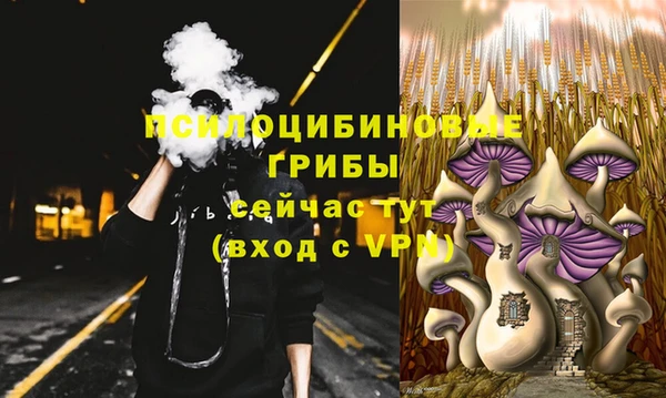 ешки Снежинск