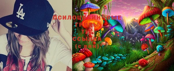 соль ск Алексин