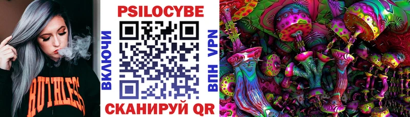 хочу наркоту  Губкин  Псилоцибиновые грибы Psilocybe 