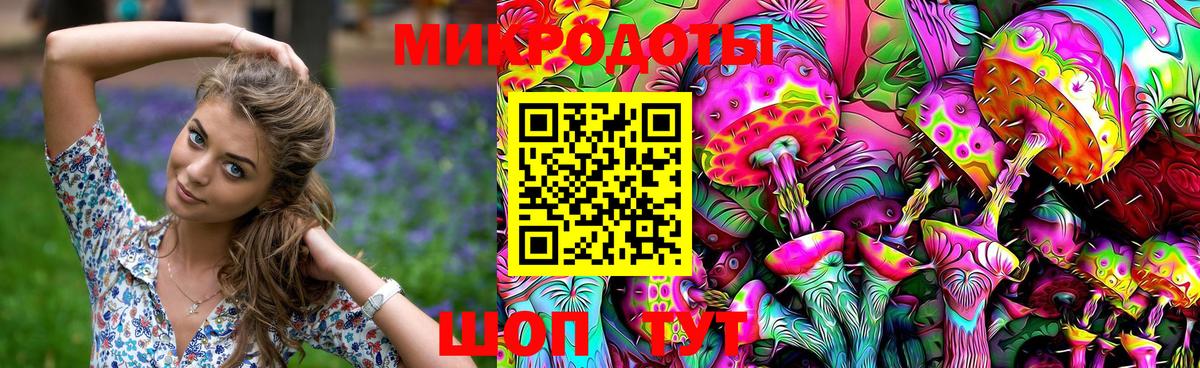 Галлюциногенные грибы Psilocybine cubensis Губкин