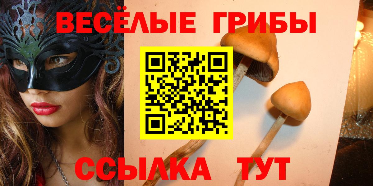 Псилоцибиновые грибы мухоморы  что такое   Губкин  Вход с VPN 